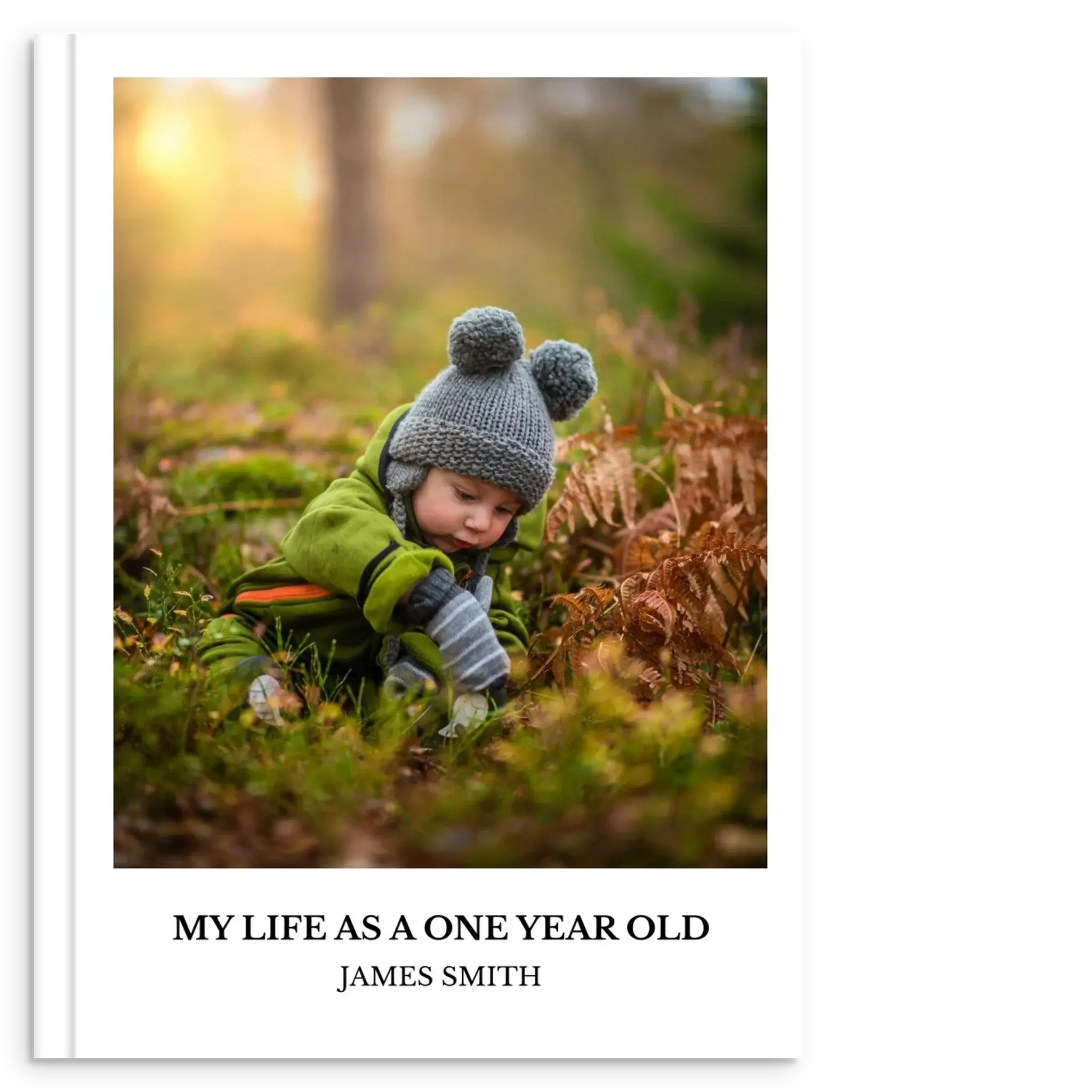 0368b184-d5ae-49a5-8a3c-4e35799c6fc5