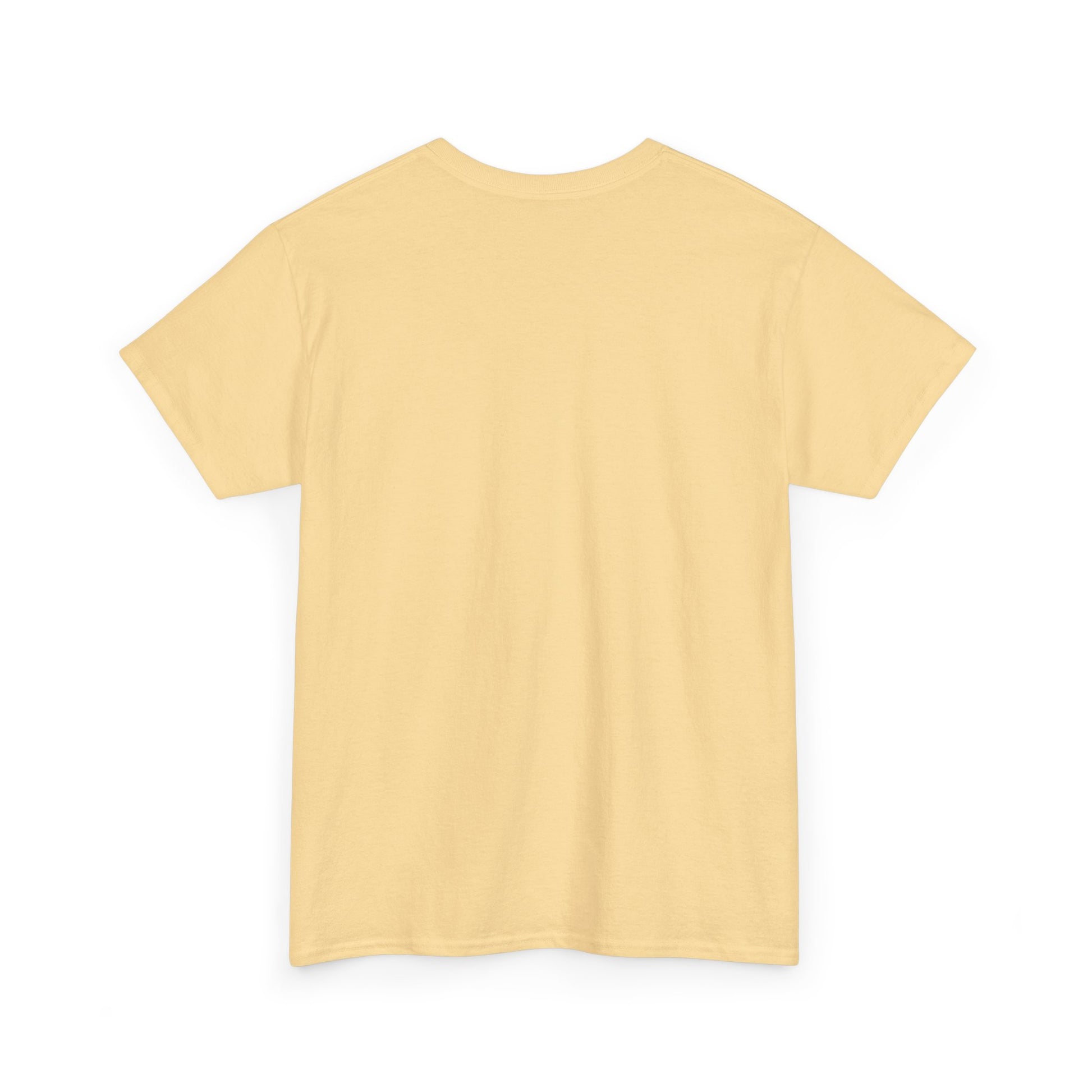 Copy of USA Flag Popsicle T-shirt