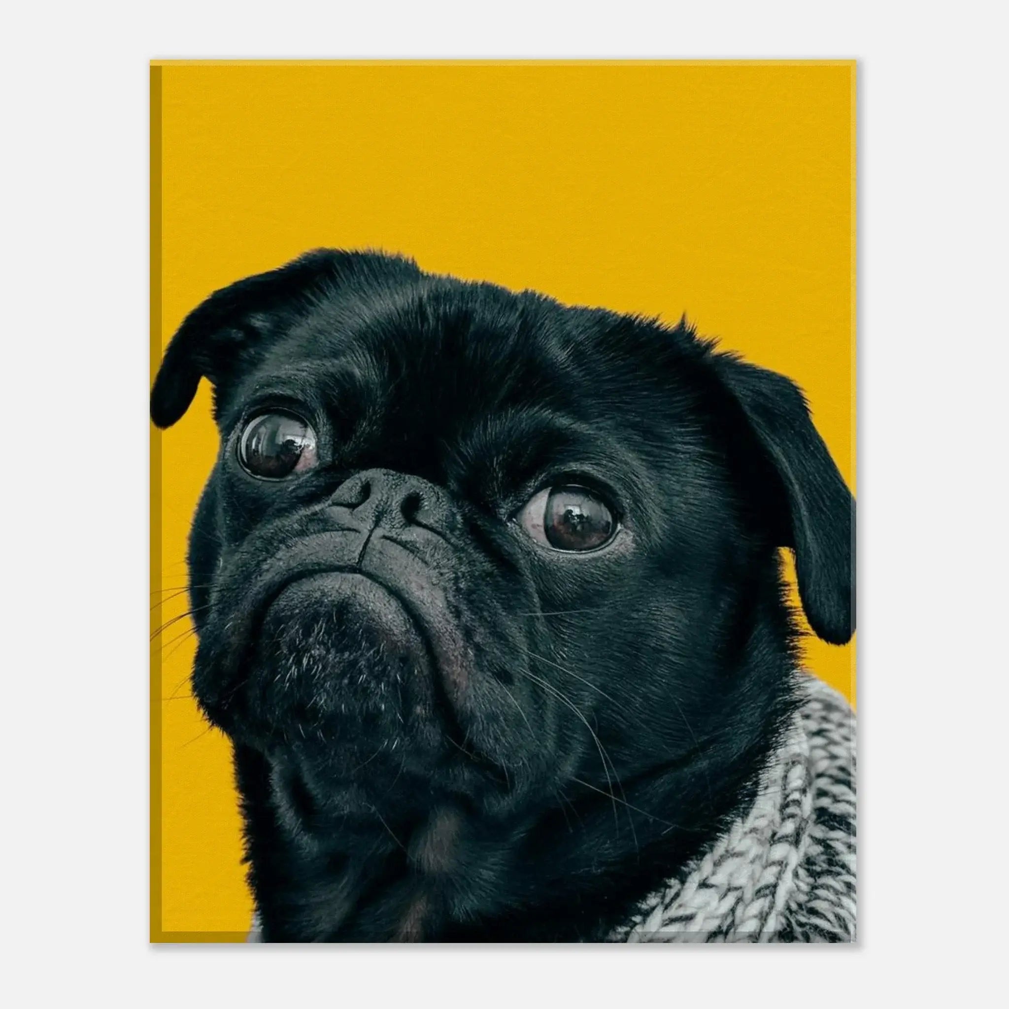 285b9dc3-453f-4ba4-9bf0-b0891769f199