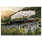 31ebebba-a98b-4a78-a016-b1bd0919f4a7