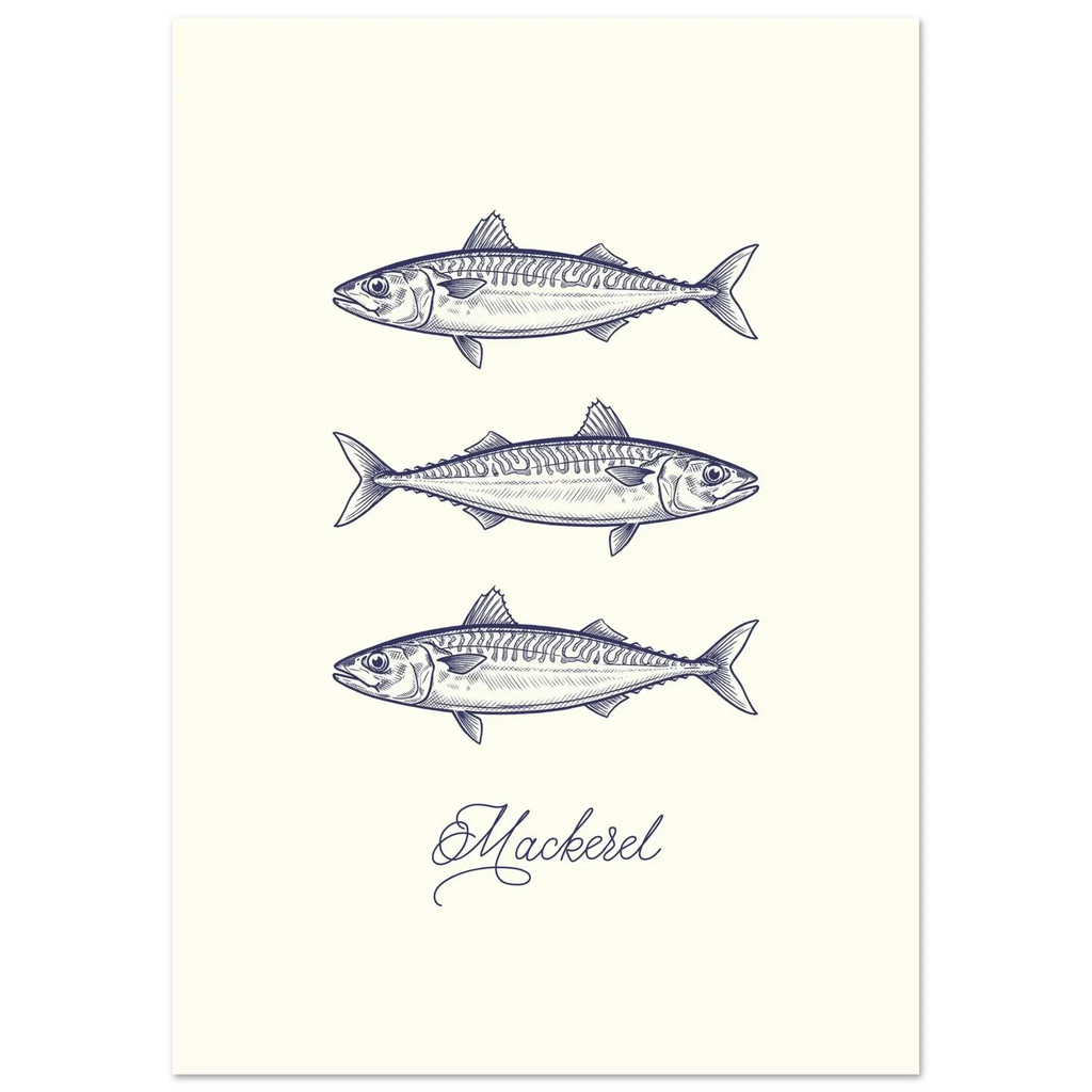 Illustration of three mackerel fish on a white background