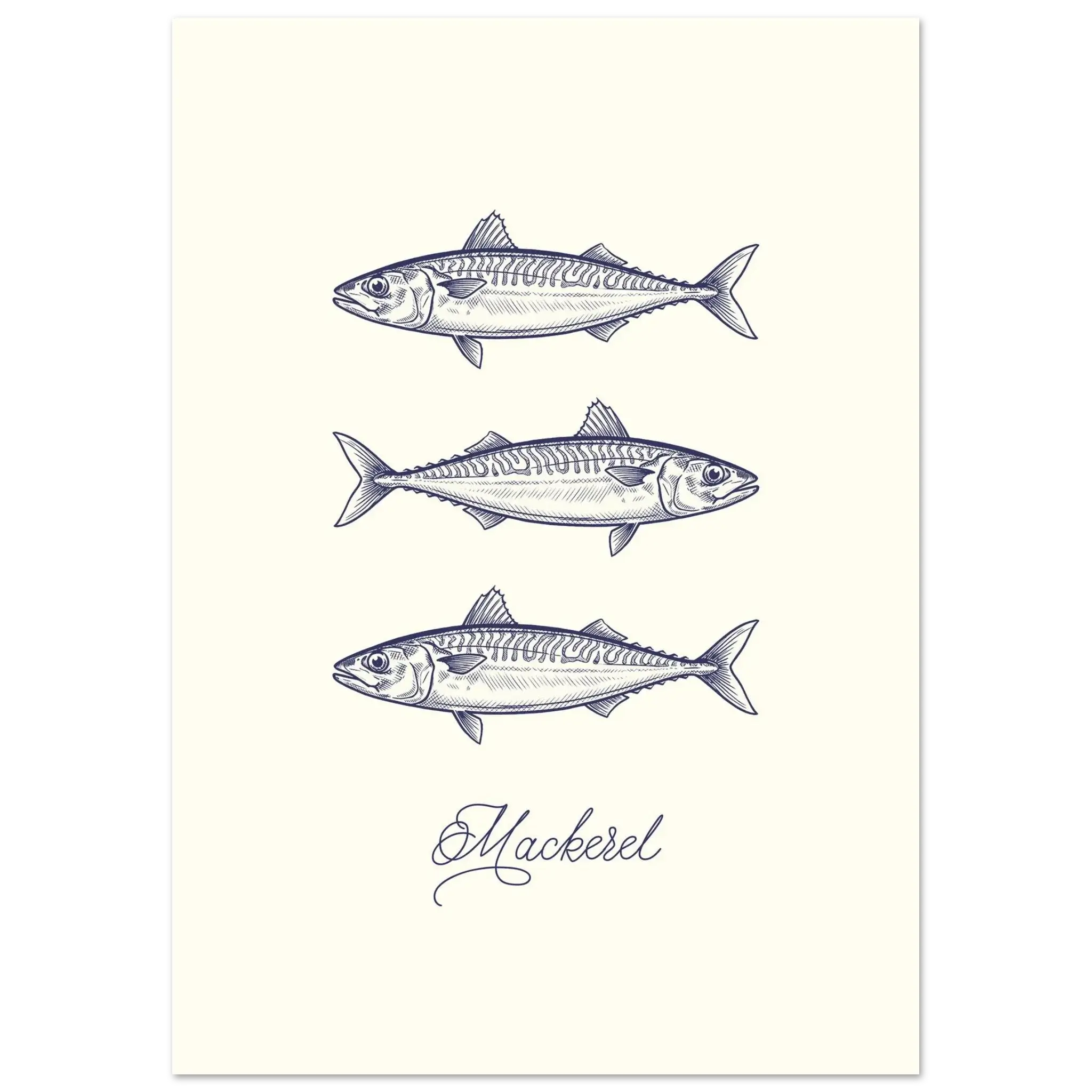 Illustration of three mackerel fish on a white background