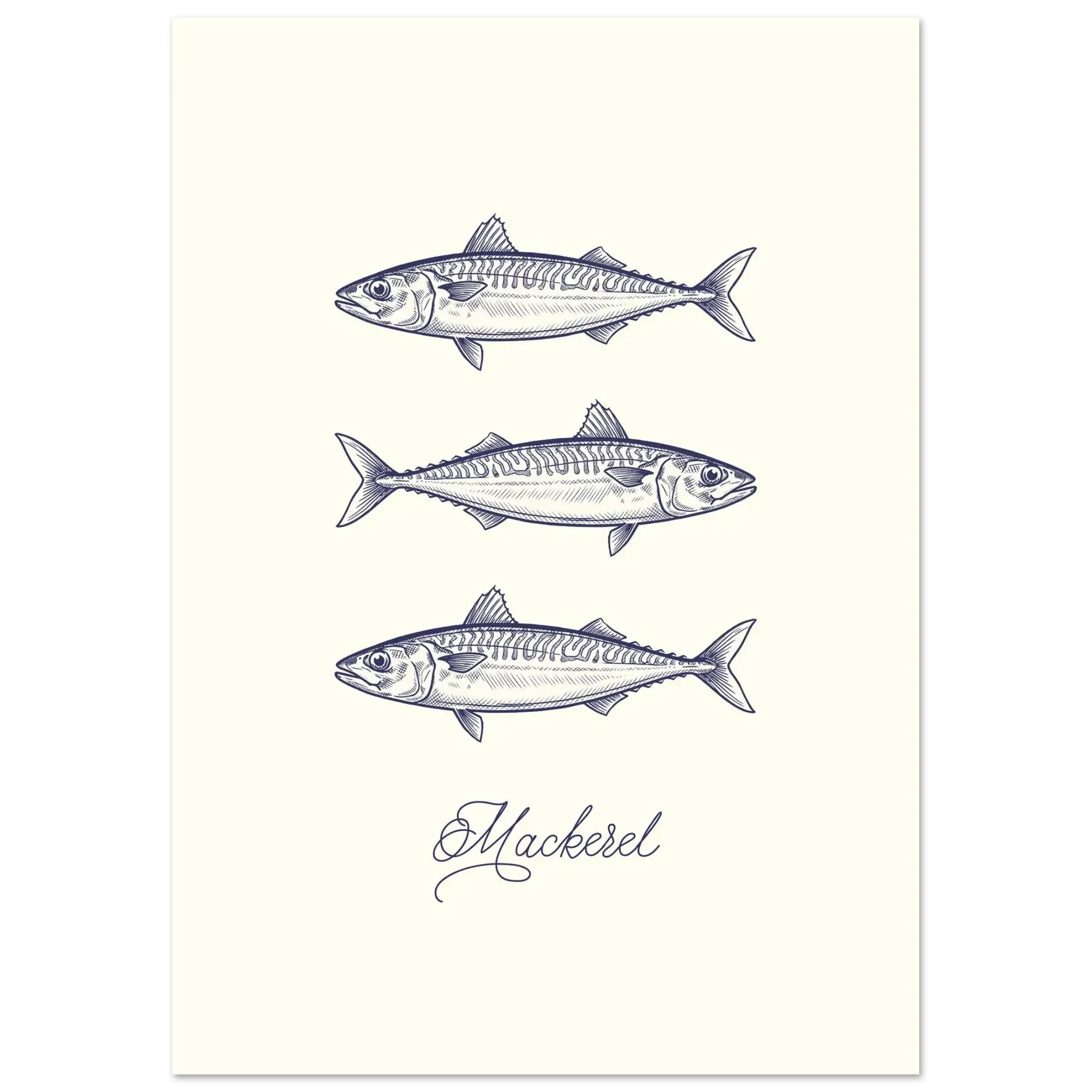 Illustration of three mackerel fish on a white background