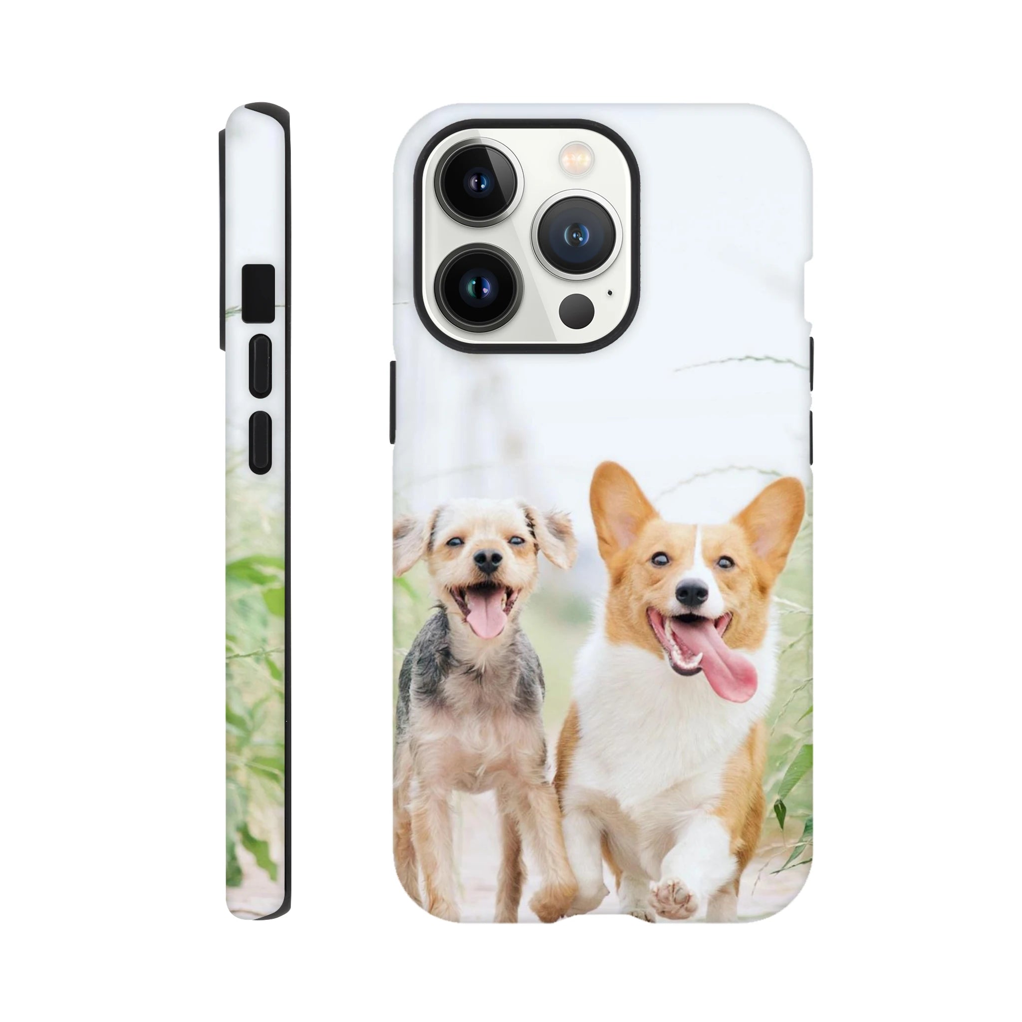 422d8420-70d2-448a-9306-d5e2b607c309