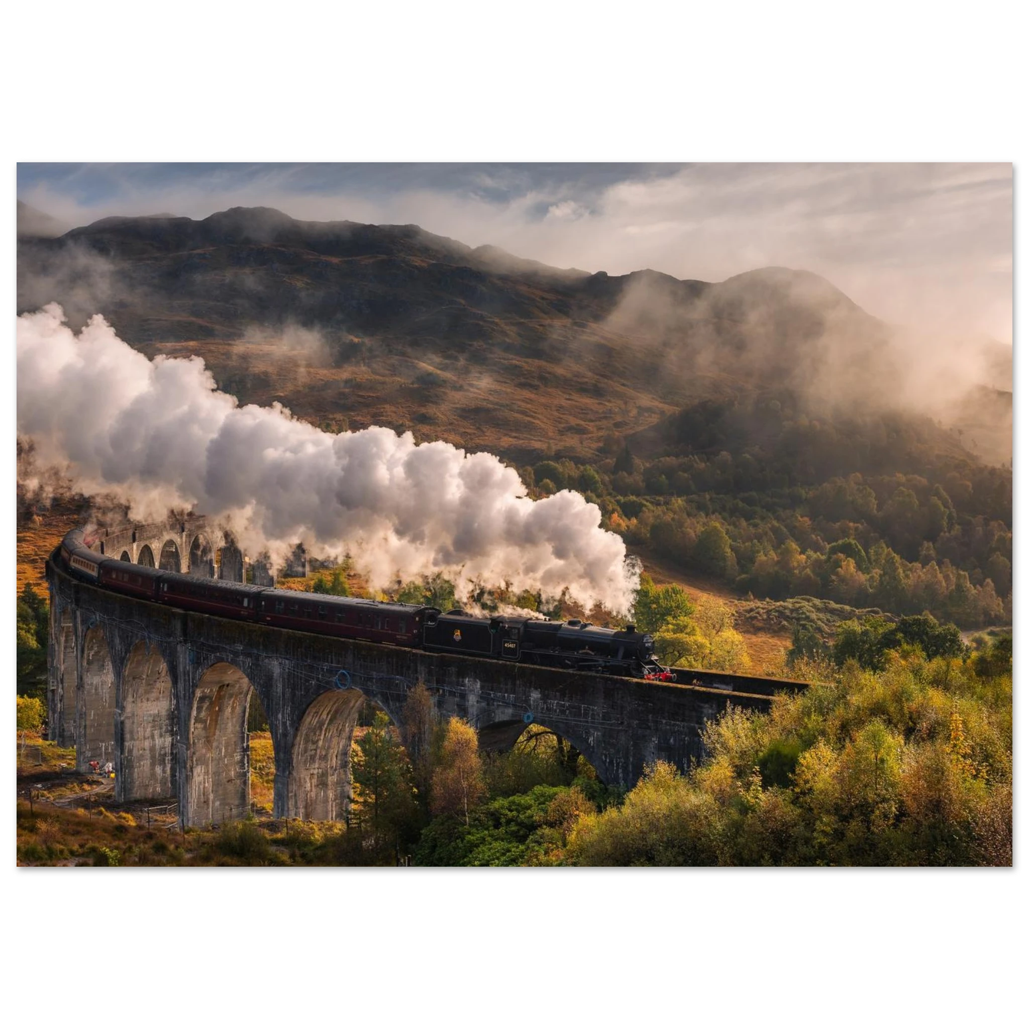 9999df7d-20ac-446d-8002-8657bcbacc1a