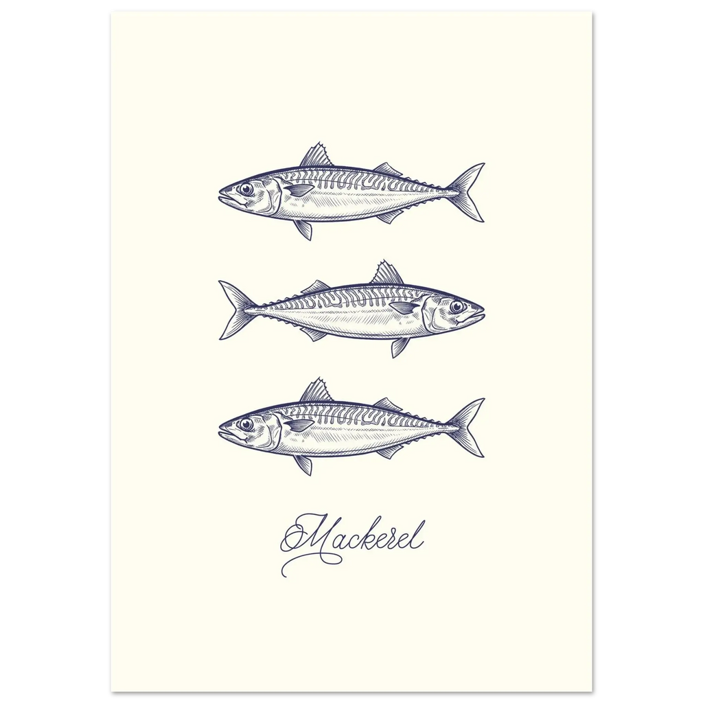 Atlantic Mackerel Poster
