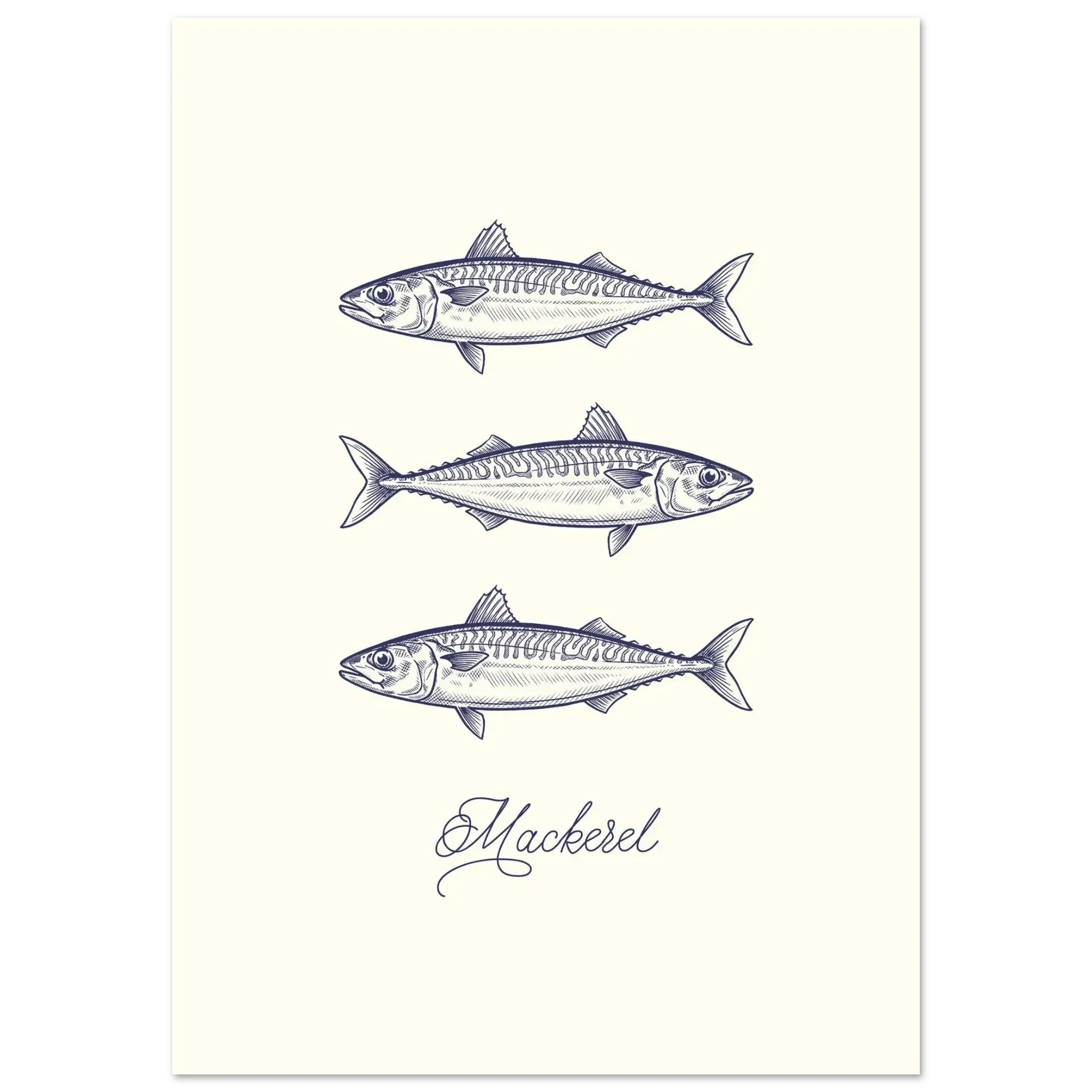 Atlantic Mackerel Poster