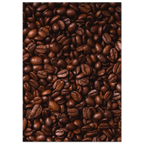 Close-up of coffee beans on a white background