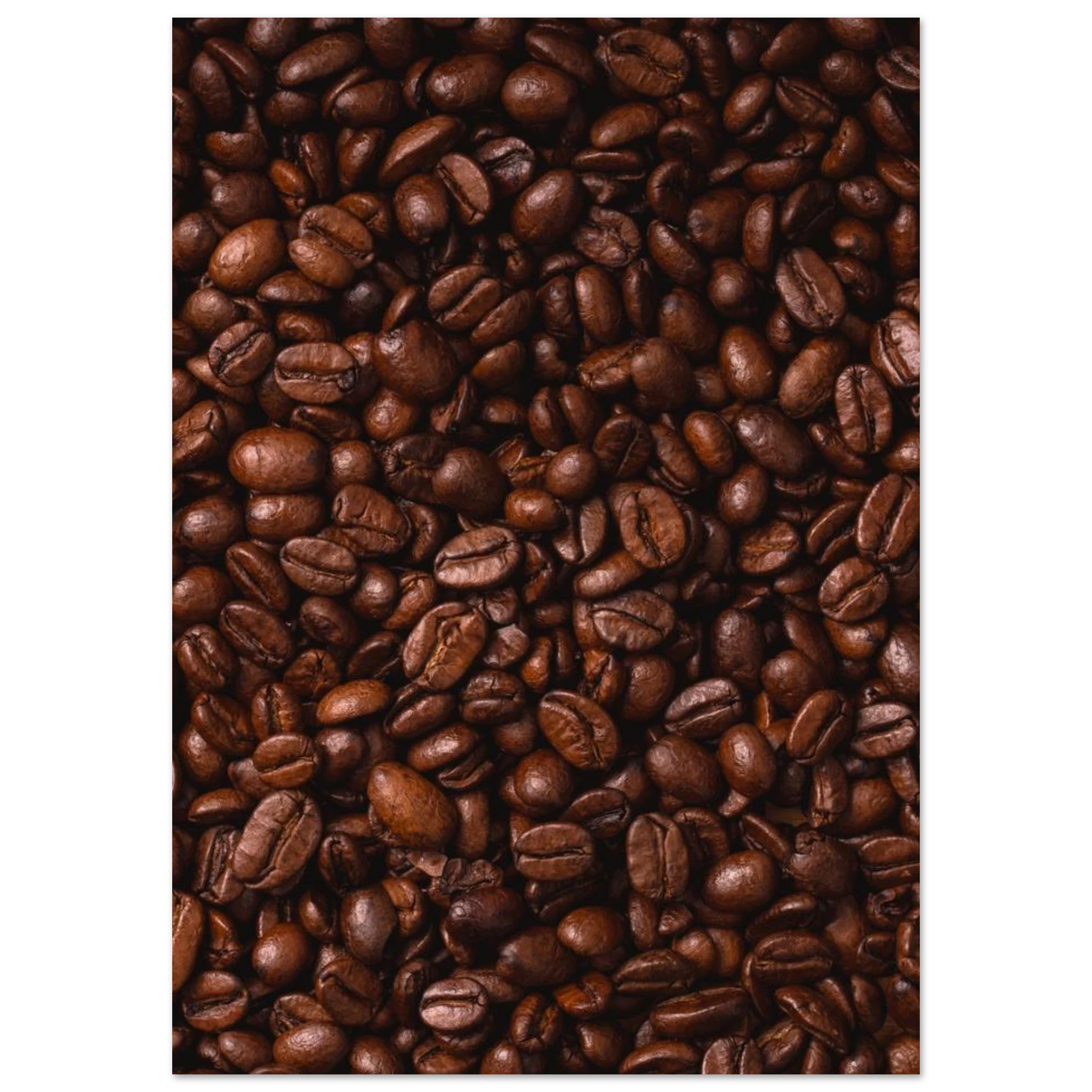 Coffee Phone Case Collections