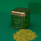 Green matcha tea canister with matcha powder on a green background