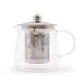 Clear glass teapot with metal infuser on a white background.