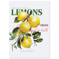 Poster of lemons with text about organic juice and freshness on a white background