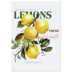 Poster of lemons with text about organic juice and freshness on a white background