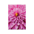 Memorial card with pink flower design and text on a white background