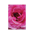 Memorial card with a pink rose and text on a white background