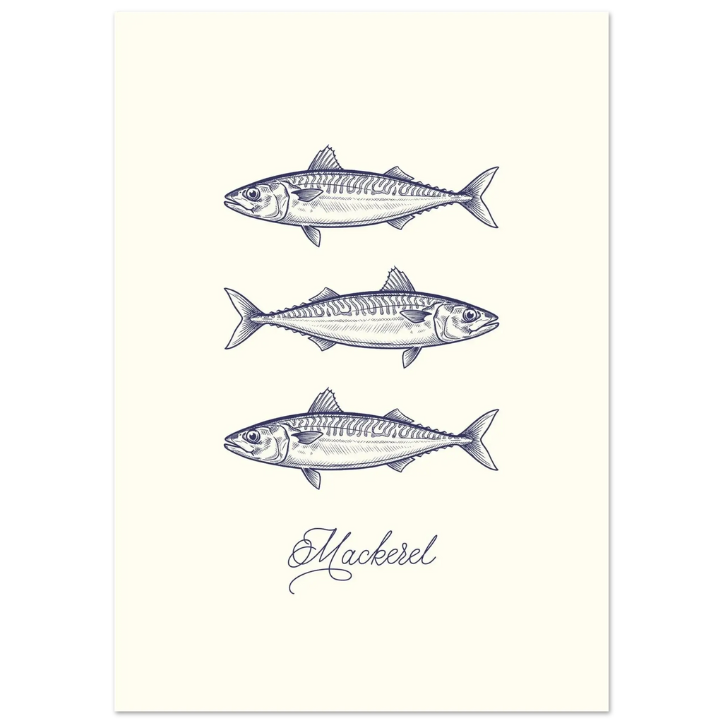 Illustration of three mackerel fish on a white background