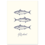 Illustration of three mackerel fish on a white background