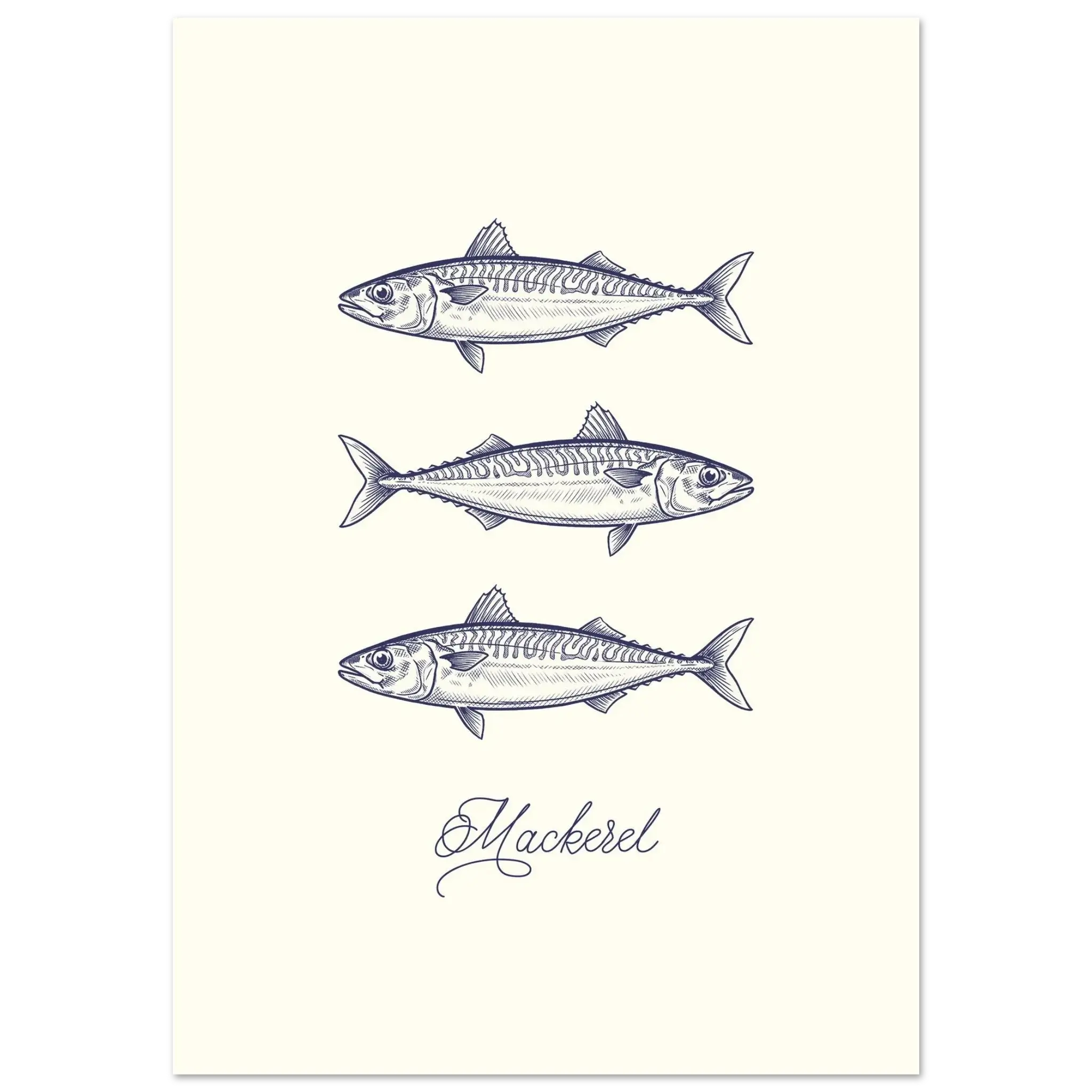 Illustration of three mackerel fish on a white background