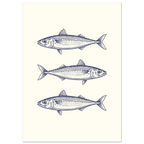 bbac6e2d-0cc8-4ab0-b951-3b8ea44caa6f