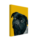 d383f0e6-e7d7-4c4c-82f9-da72740209fb