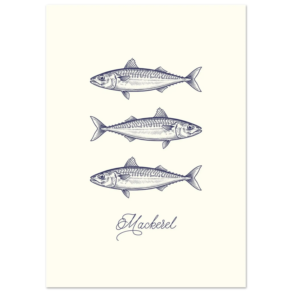 Illustration of three mackerel fish on a white background