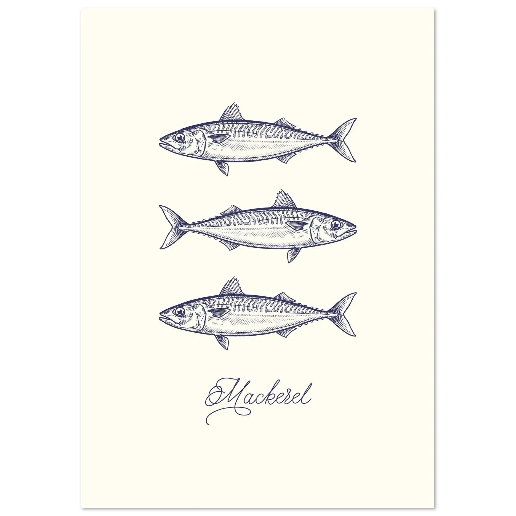 Illustration of three mackerel fish on a white background