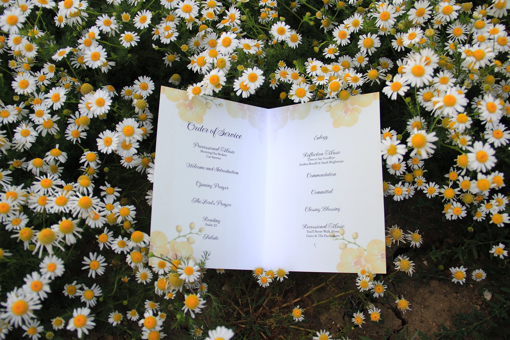 An open printed menu or order of service card placed on a dense bed of white daisies with yellow centres and green foliage. Photograph by MVB STUDIO official store.