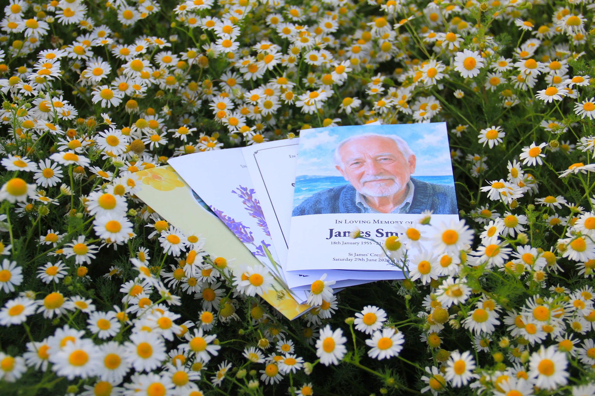 A printed memorial card or booklet with a portrait of an older man lies on top of a dense bed of white daisies with yellow centres and green foliage outdoors photograph by MVB STUDIO