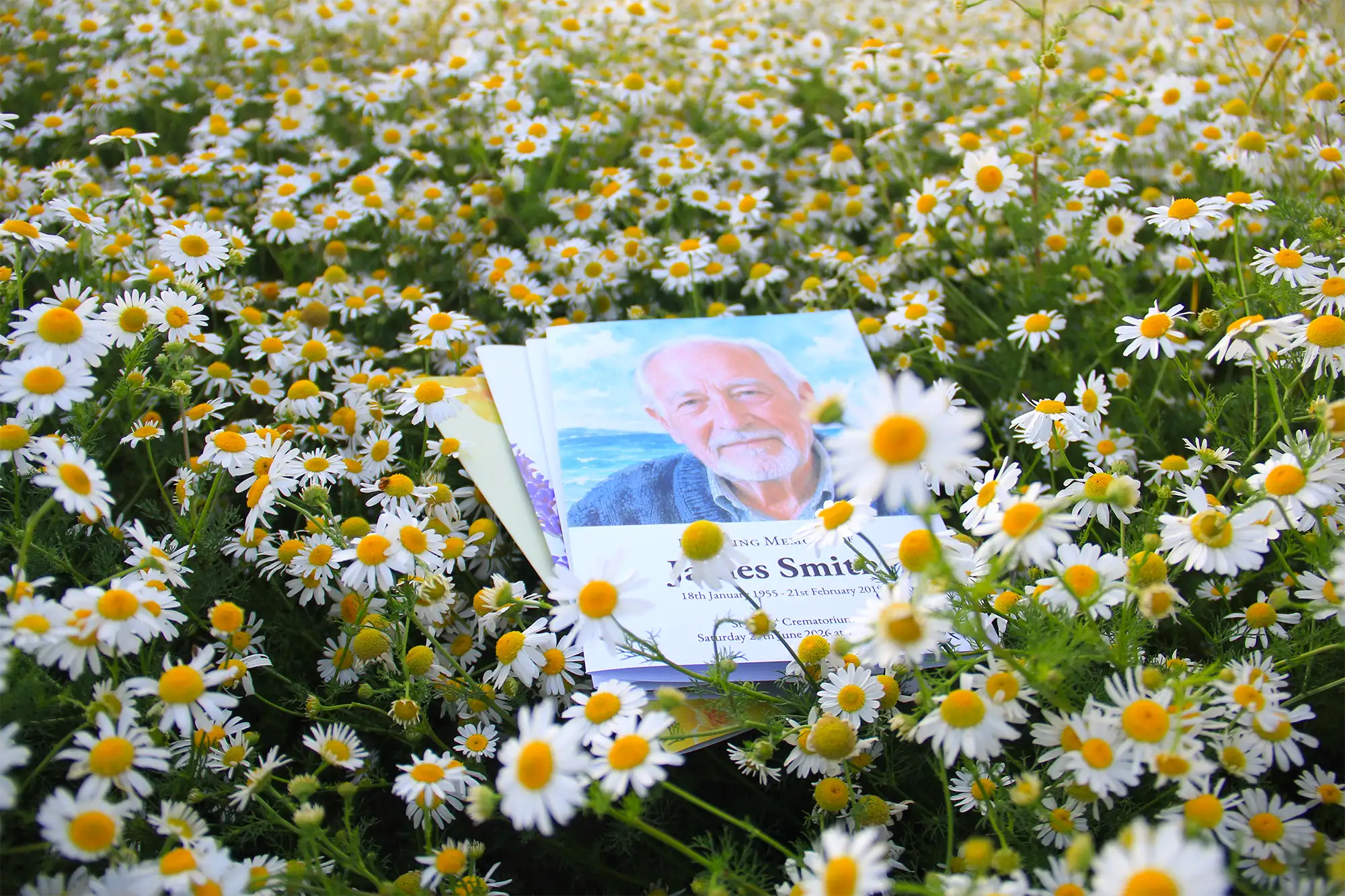A printed card or booklet with a portrait of an older man lies on a bed of white daisies with yellow centres in a field. Photograph by MVB STUDIO official store.