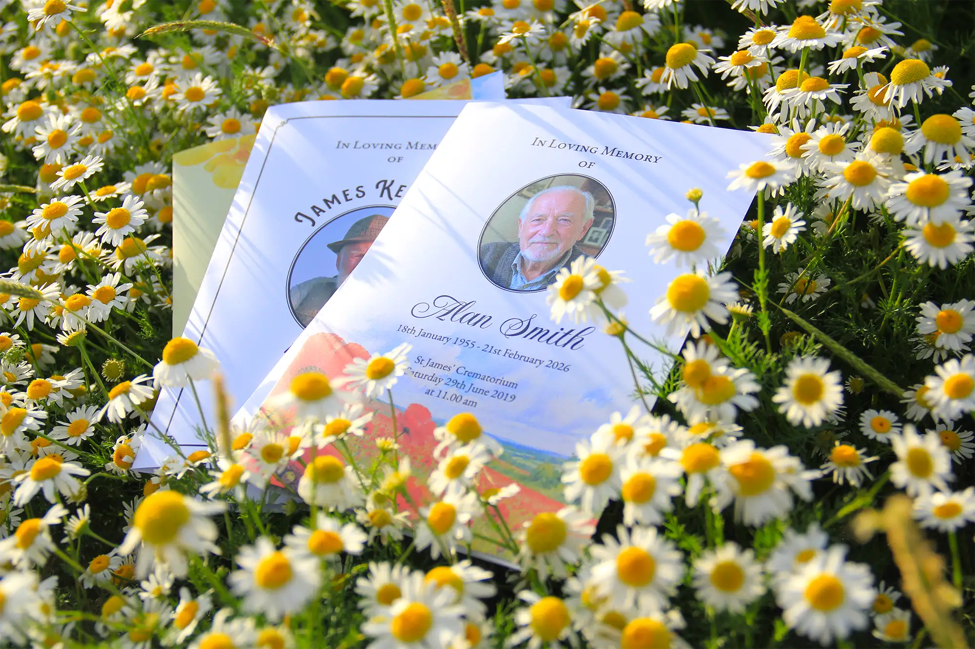 Two printed memorial cards or keepsake pages with portrait photos and text, placed among dense white daisies with yellow centers in a grassy outdoor setting designed and photograph by MVB STUDIO
